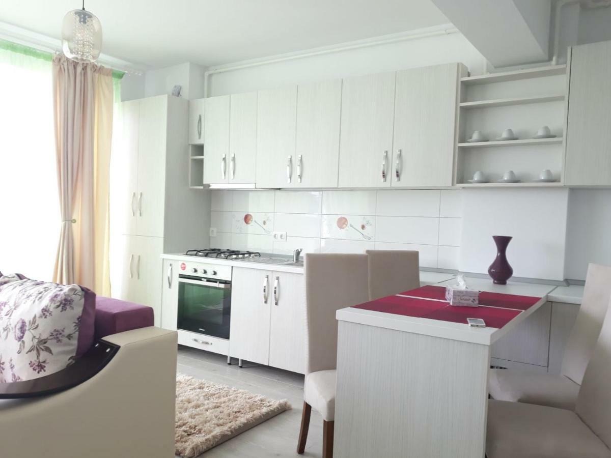 Apartament Coresi Brašov Exteriér fotografie